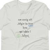 Rest At Night MirrorImage™ T-Shirt